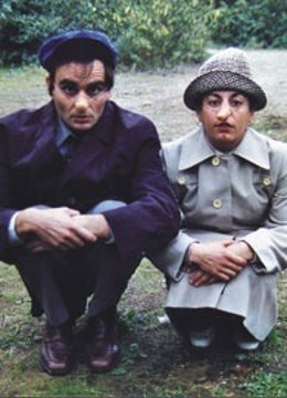 Imagen De La Función