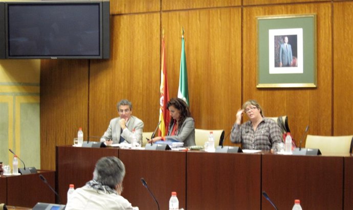 Montero Durante Su Comparecencia En La Comisión De Salud