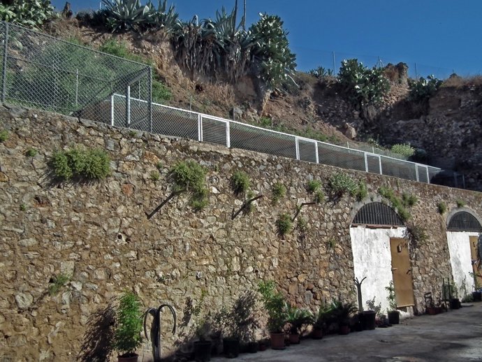 Lugar En El Que Se Ubicará  El Centro De Aves Rapaces (Cirar) De Alcaudete.