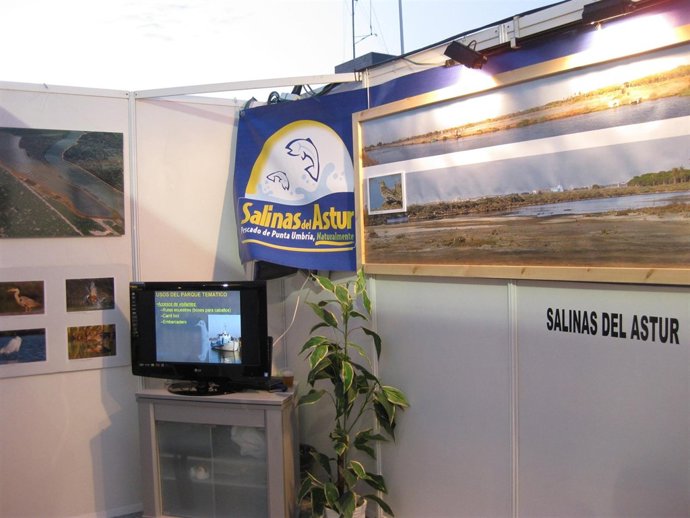 Stand De La Empresa Salinas Del Astur. 
