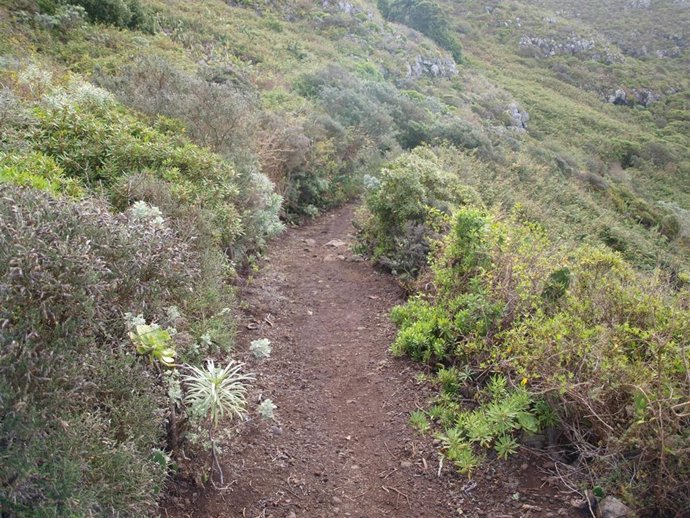 Camino De La Degollada