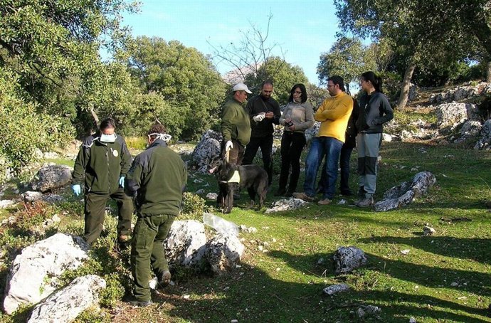 Técnicos De La Consejería En La Lucha Contra El Uso Del Veneno