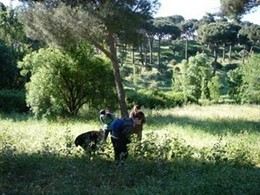 Una Foto De La Dehesa De La Villa De Madrid
