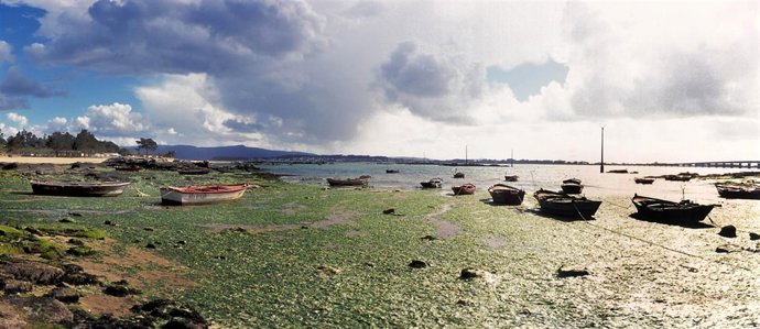 Isla De Arousa