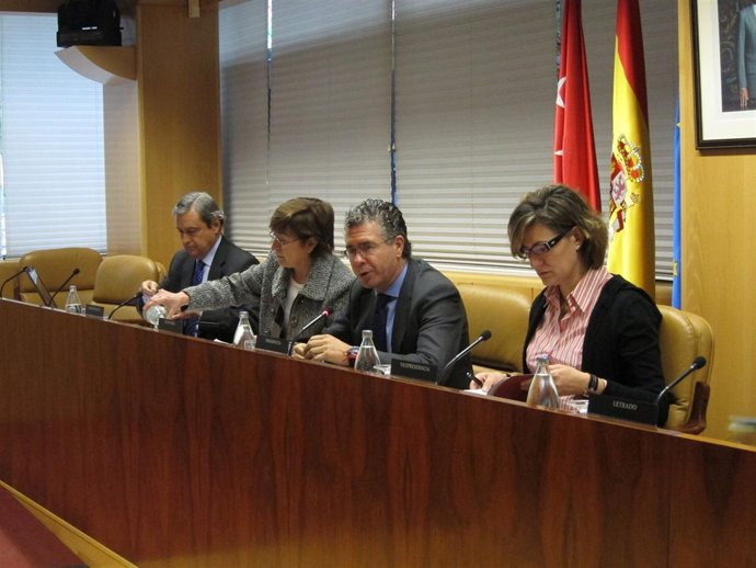 Comisión De Duplicidades De La Asamblea De Madrid