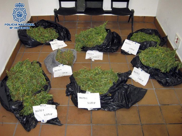 Imagen De La Droga Interceptada 