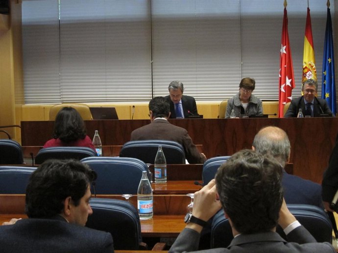 Comisión De Duplicidades En La Asamblea De Madrid