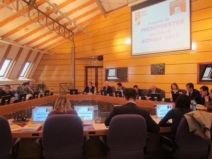 Comparecencia De Iruarrizaga En Comisión De Hacienda