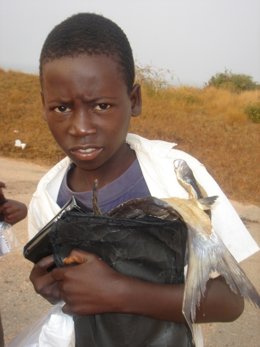 África, Niño Africano