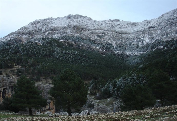 Imagen del Parque de Cazorla