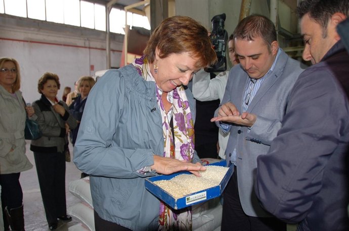 Barreiro En Una Cooperativa De Arozz De Calasparra