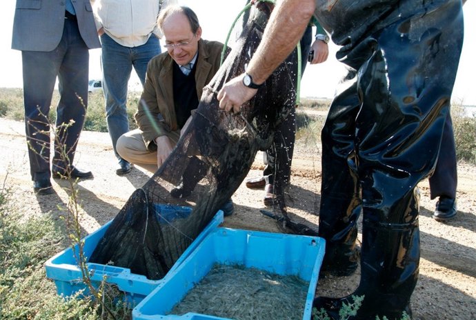 El Consejero De Medio Ambiente, José Juan Díaz Trillo, En El Humedal Artificial