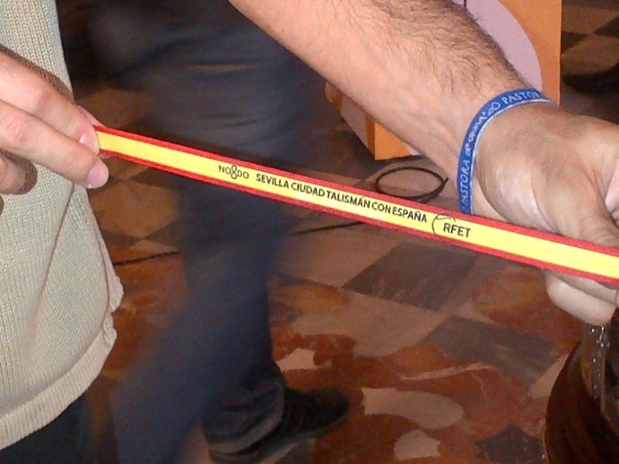 Imagen De La Pulsera 