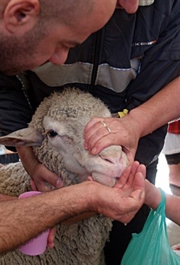 Pascua Del Sacrificio, En Ceuta   