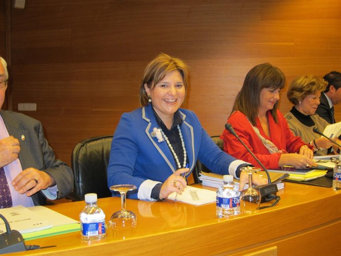 La Consellera Isabel Bonig Antes De Comenzar Su Comparecencia En Corts