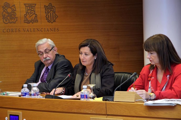 Maritina Hernández En La Comisión De Economía