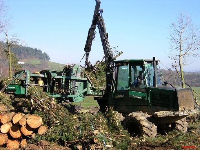 Explotación Forestal En Asturias.