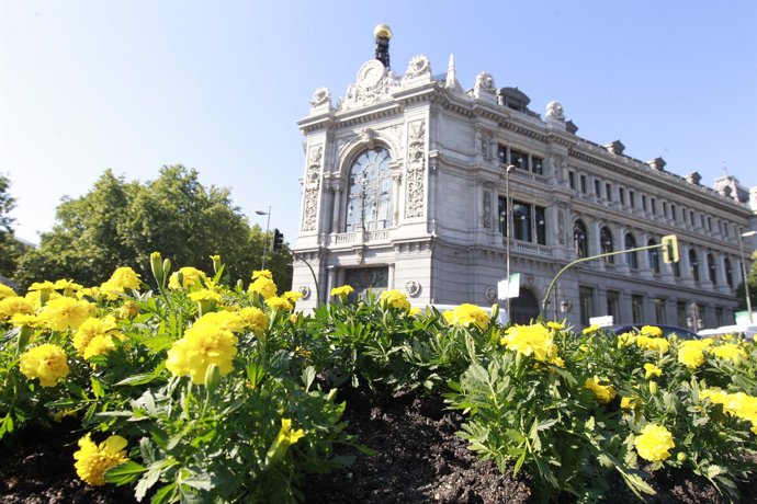 Imagen Del Banco De España