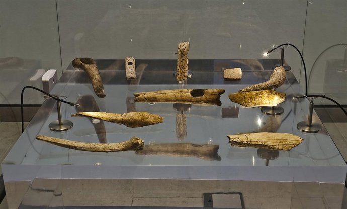 Vitrina Del Museo De Altamira