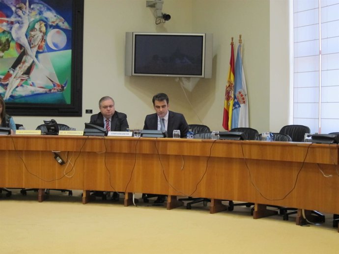 Diego Calvo En La Comisión De Presupuestos