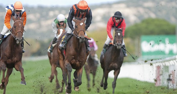 Octava Jornada De Turf En La Zarzuela