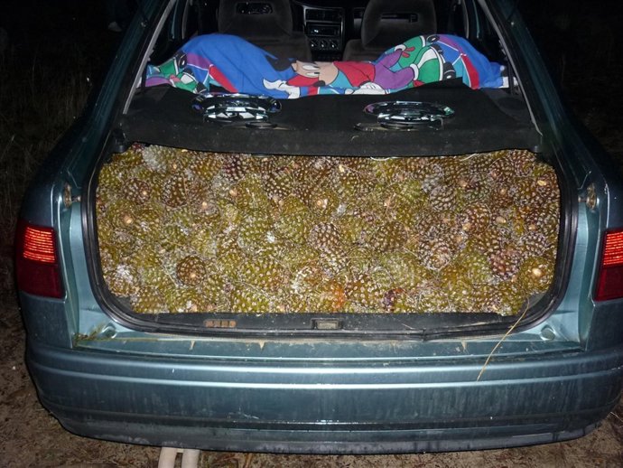 Uno De Los Coches Con Las Piñas Robadas