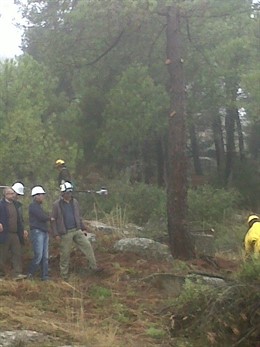 Labores De Prevención De Incendios