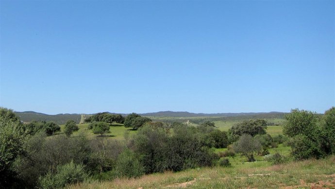 Parque Natural Sierra Norte, En Sevilla