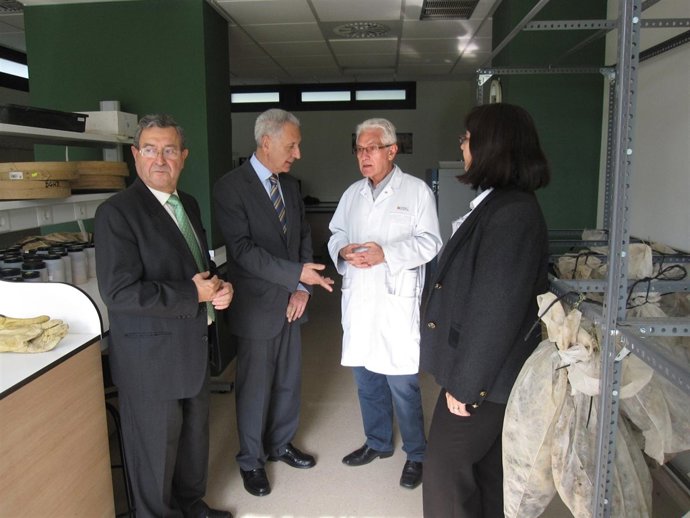 Lacasa Y Lobón, Entre Otros