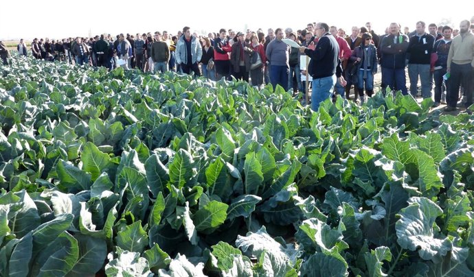 Finca Experimental Hortofrutícola Del Gobierno De Navarra En Cadreita.