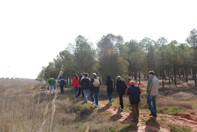 Paseo, Campo, Monte, Naturaleza, Senderismo