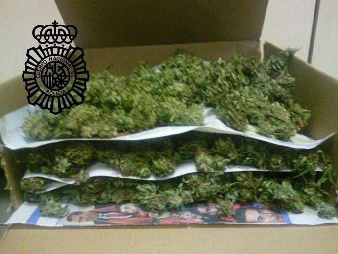 Marihuana Intervenida Por La Policía En Castellón.     