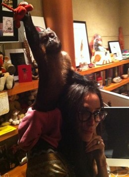 Demi Moore Con Un Mono