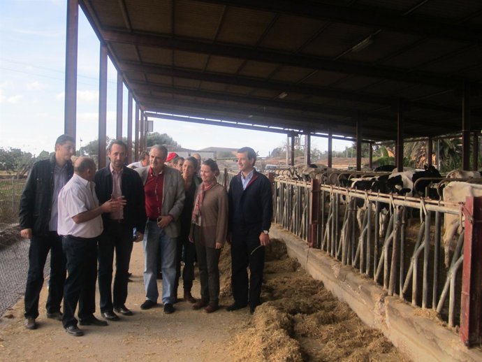 Miquel Ramis Y José Ramón Bauzá Visitan Una Vaquería