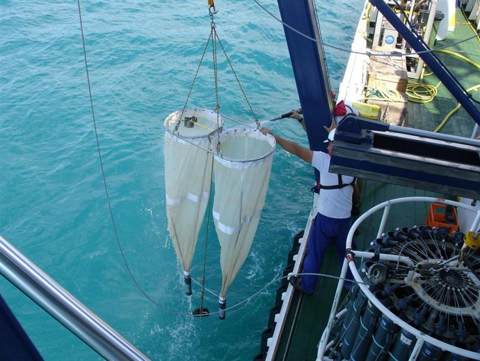 Laboraes De Investigadores De La ULPGC En El Hierro