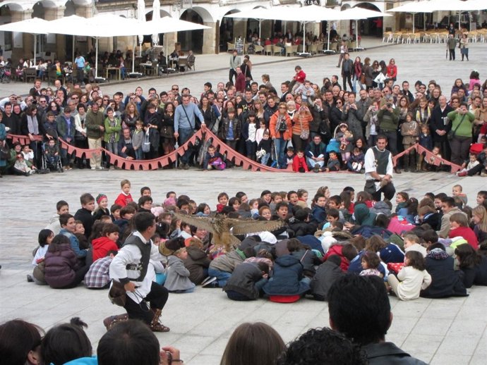 Exhibición Cetrería