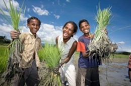 Semillas Por Un Mundo Más Justo