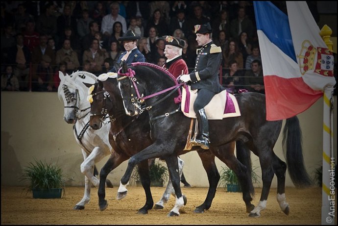 Actuación De Las Escuelas Ecuestres En Lisboa