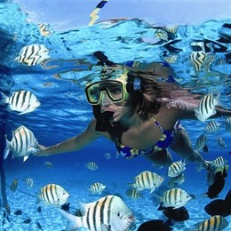 Submarinismo En Las Aguas Del Caribe