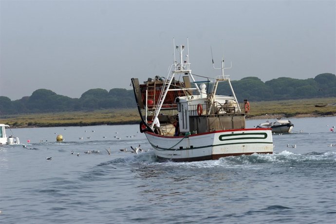 Barcos pesqueros en Huelva