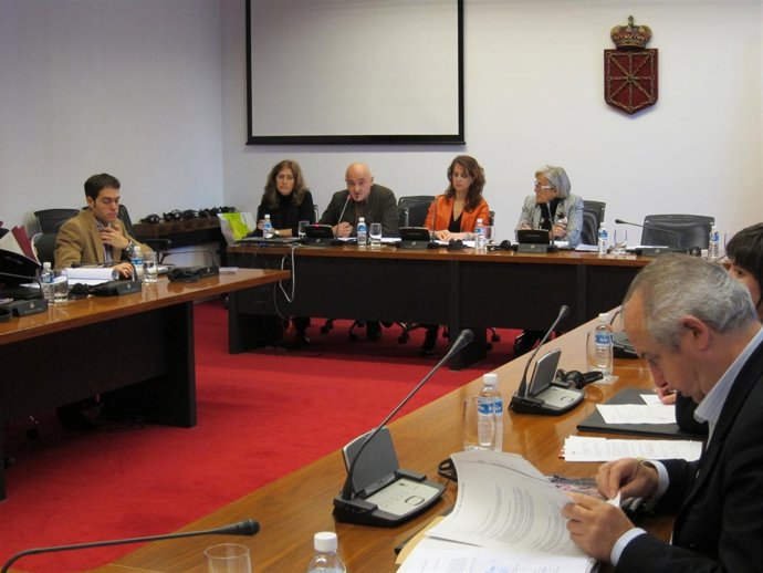Representantes De La Escuela Navarra De Teatro En El Parlamento.