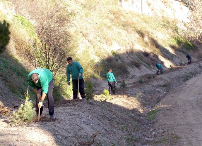 Ayuntamiento Paracuellos    