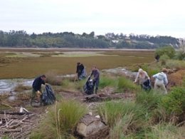 Limpieza De La Marisma