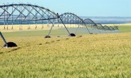 Sistema De Riego Multicentro