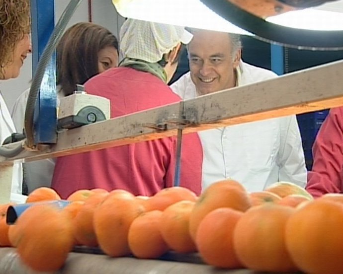 González Pons Visita Una Cooperativa En Alcásser