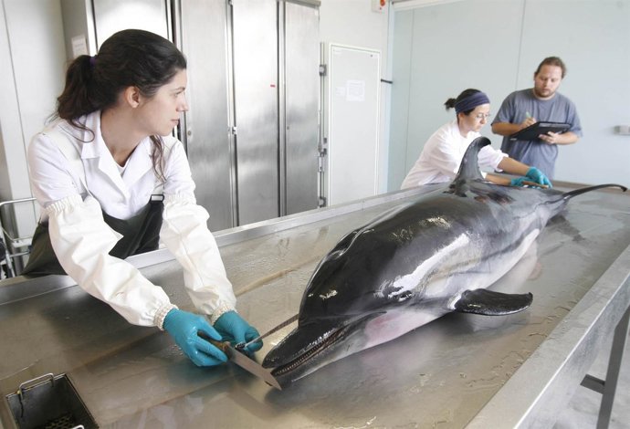  Investigadores En Las Instalaciones De L'Institut Cavanilles En Parc Científic