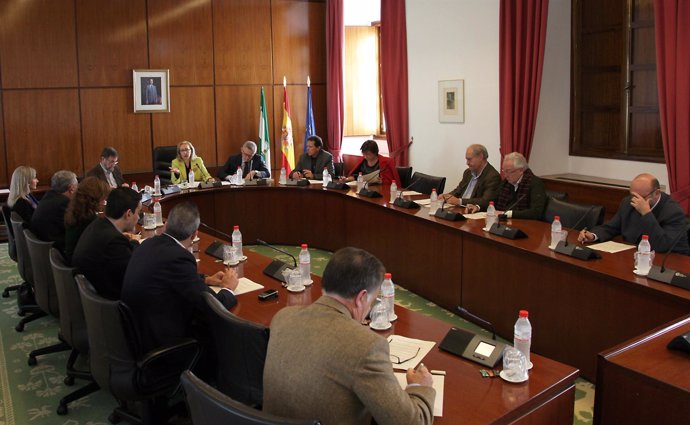 Junta De Portavoces Del Parlamento De Andalucía