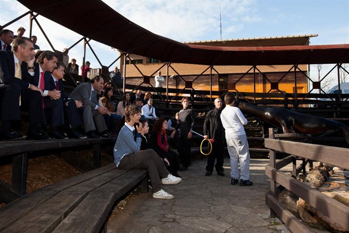 Demostración De La Terapia Con Leones Marinos
