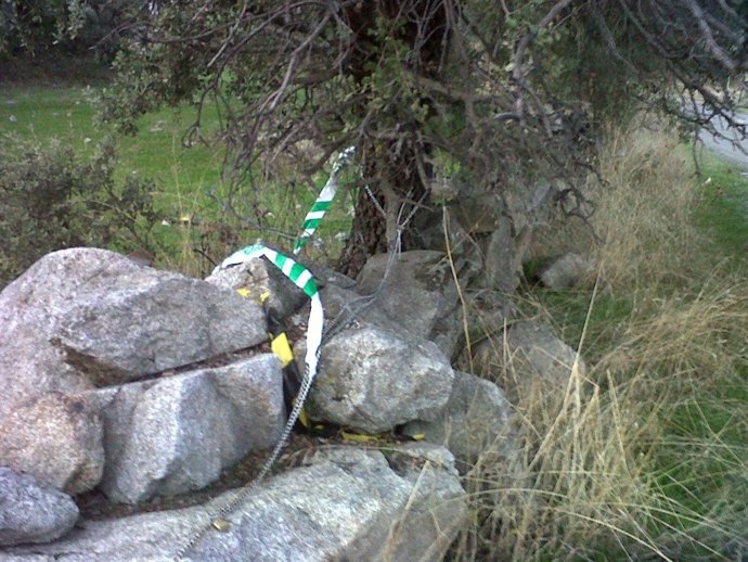 Lugar Donde Se Halló A La Joven