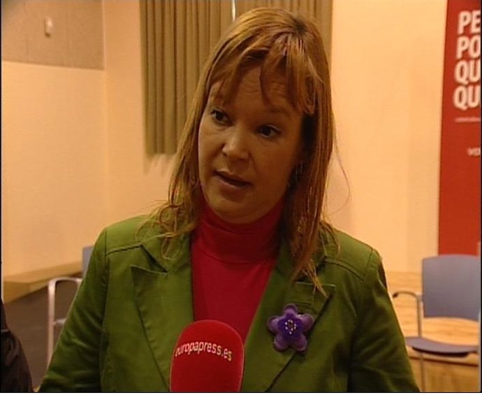 Pajín:"PP no es de fiar y oculta sus intenciones"